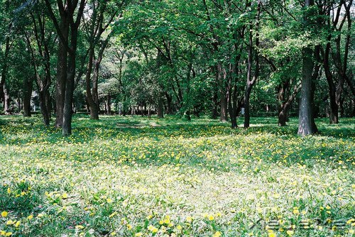 ���ĳ����ż���������ĳ����ż������ (14)