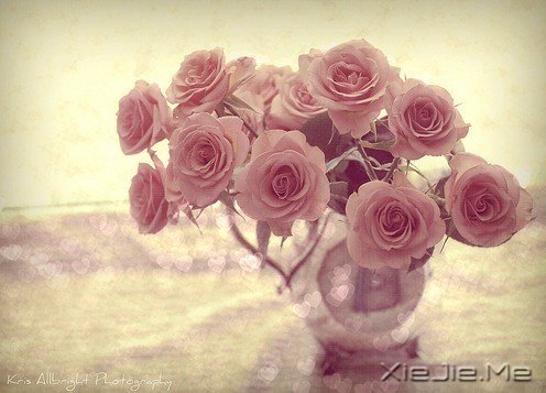 文字:什么是你做过的最漂亮的事?