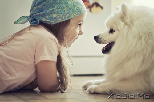 ���������еİ�