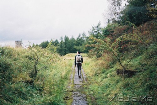 小清新文字:我们在季节里默默走着 (3)