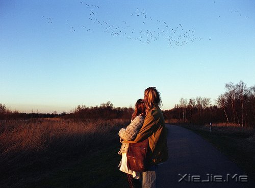 10 这只不过是,另一次旅行 (10)